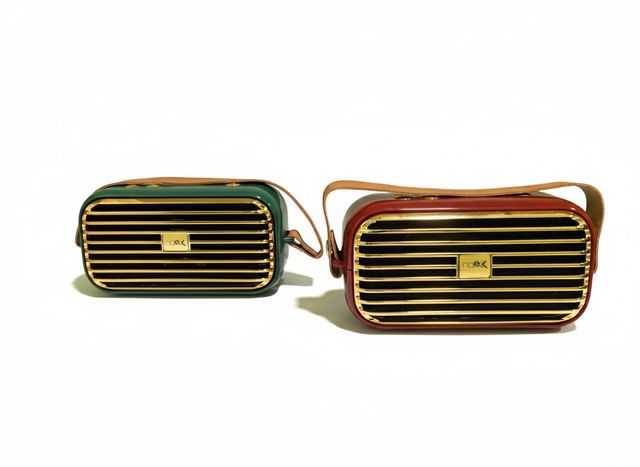 Cassa Bluetooth/Radio Fm X7 