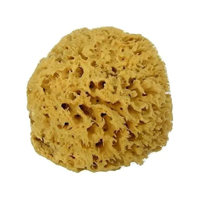 Spugna Naturale di Mare