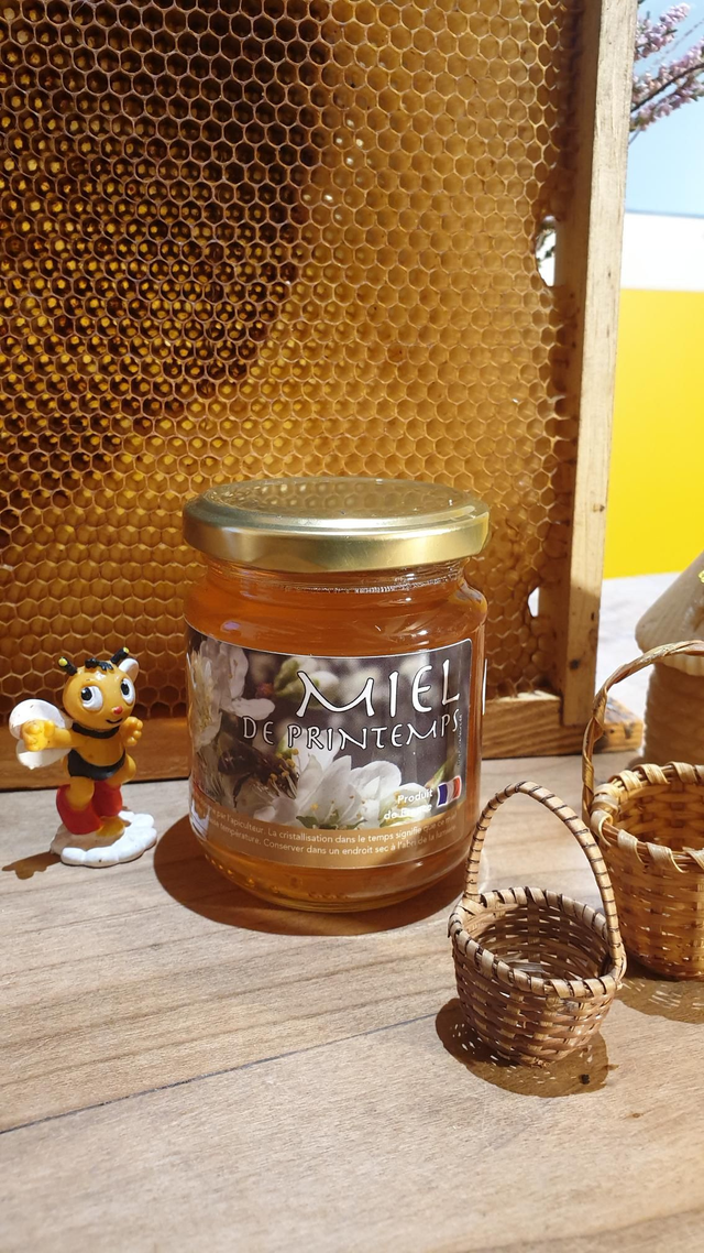 Miel de Printemps 250gr