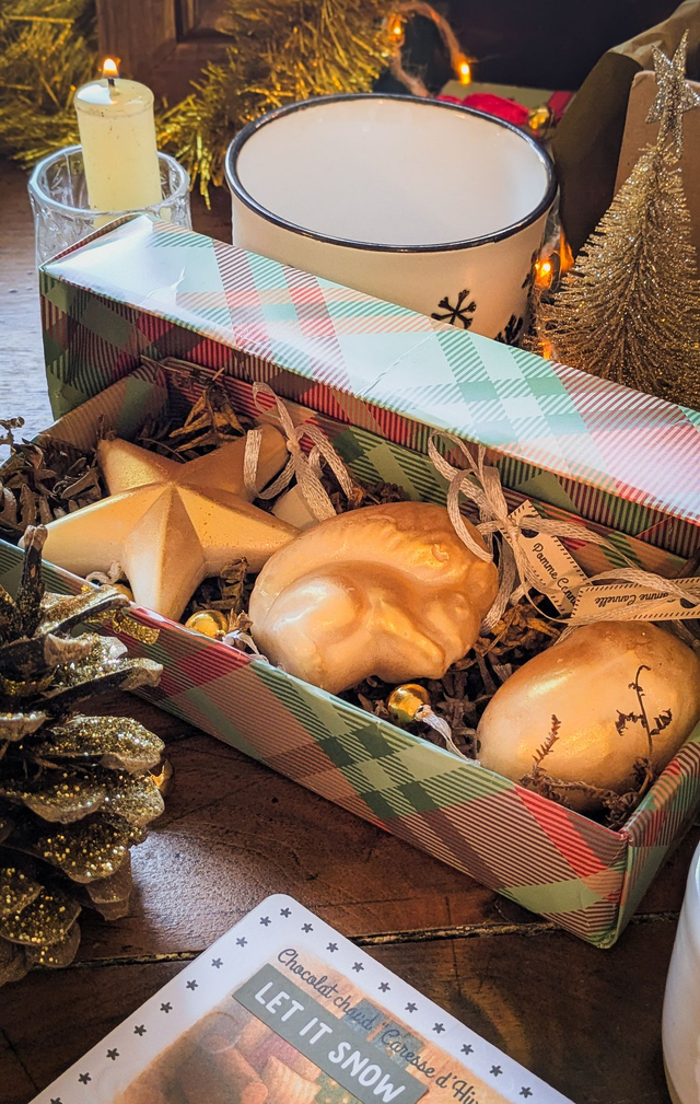 ❄️✨ Petits Trésors de la Forêt — Suspensions Parfumées (x3)