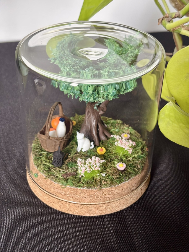 🍃 Terrarium verre 10cm - Édition été 
