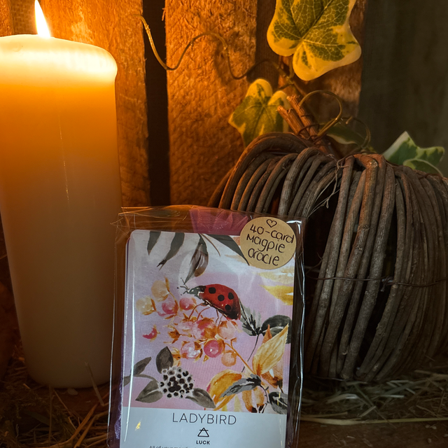 Magpie Oracle – Empowerment | 40 Curated Oracle Cards | Unique Intuitive Deck with Digital Guidebook
