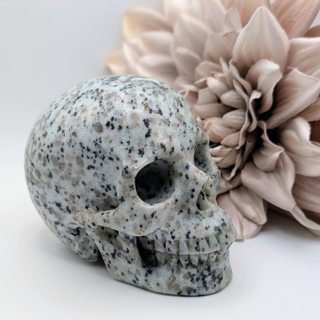 High Quality Hand Carved Crystal Skull - 4.5" Kiwi Jasper 