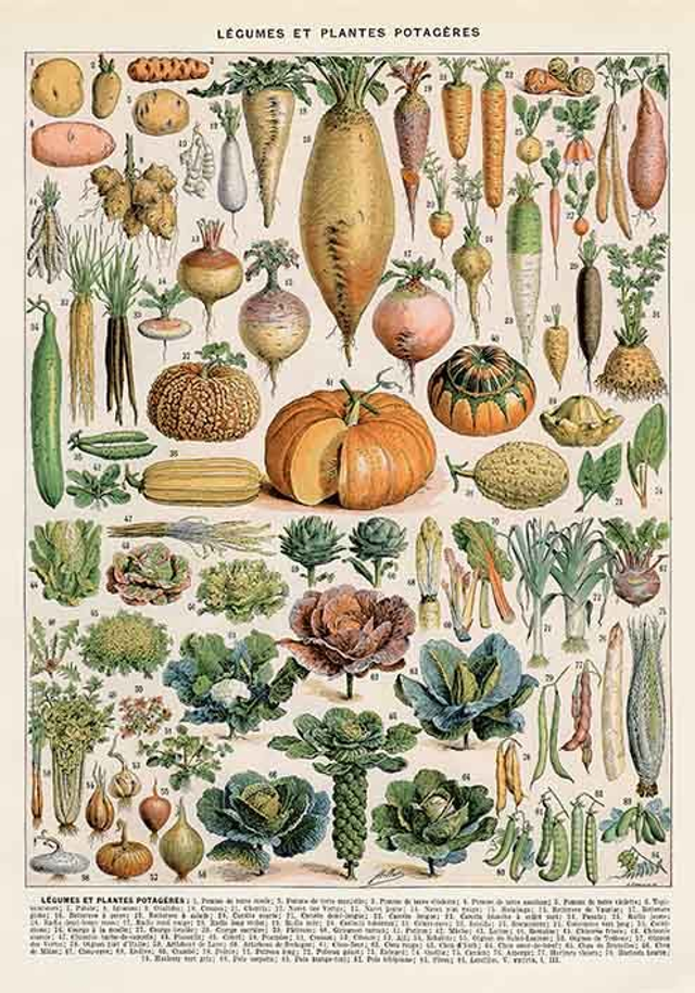 Chart Legumes et Potagéres Larousse