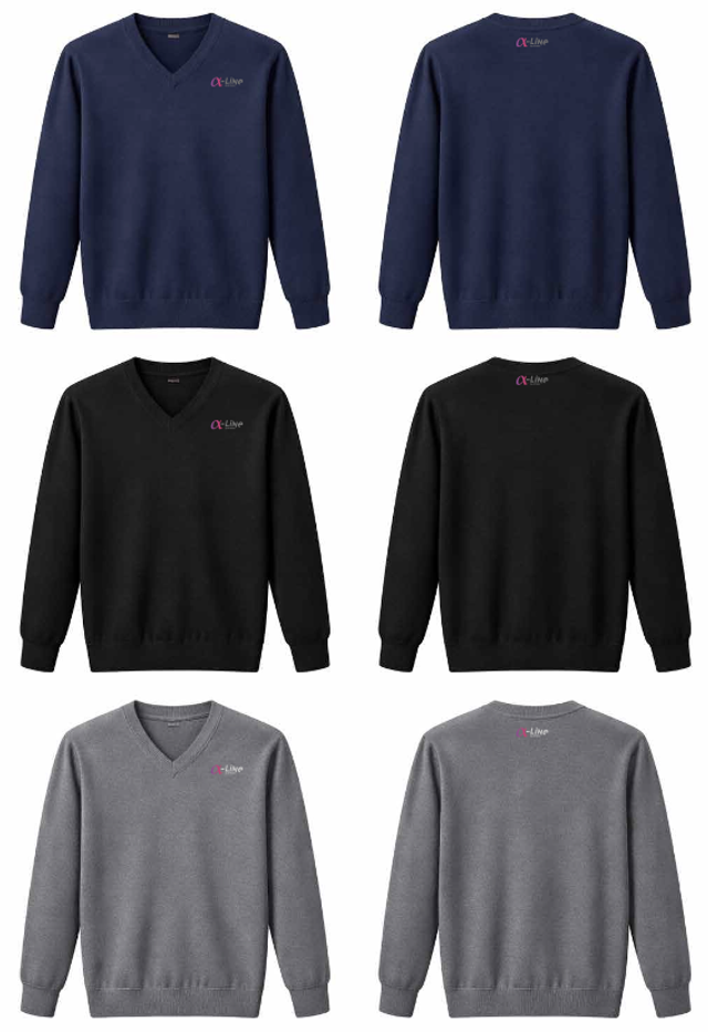  Men's V-Neck Pullover