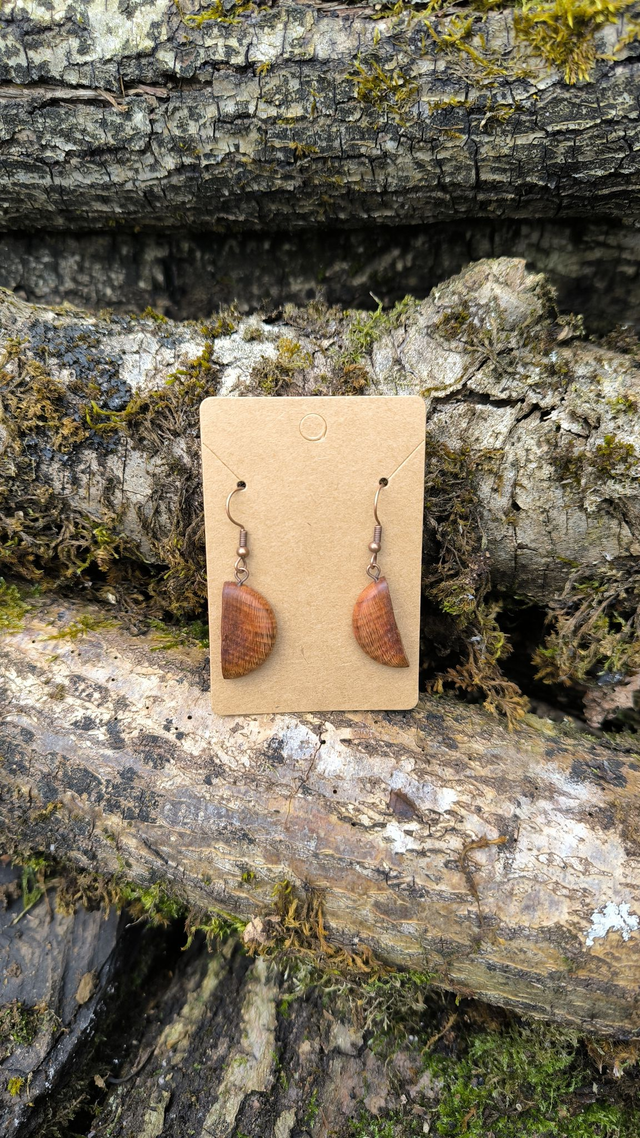 Mirabellier - 240004