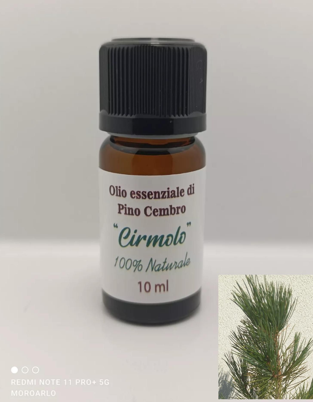 Olio essenziale di pino cembro 10 ml 