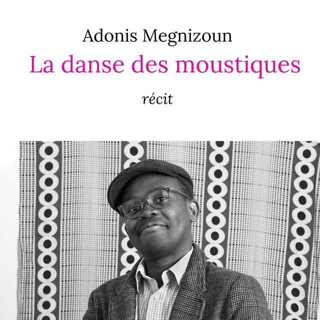 LIVRE BROCHÉ La danse des moustiques