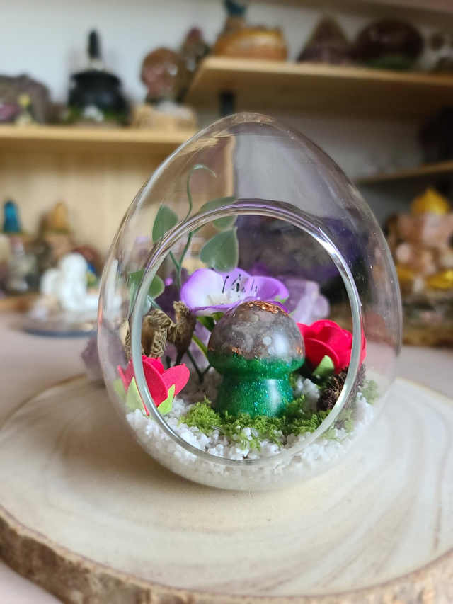 Le dôme des Songes 🍄✨️