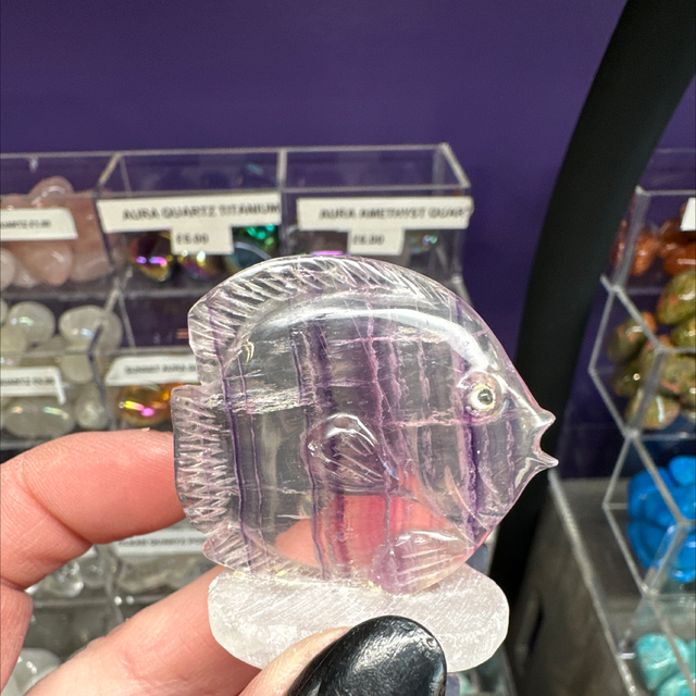 Fluorite Fish