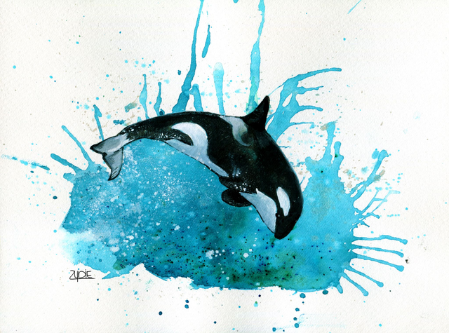 FineArt-Print - Spendenbild: Orca No.4