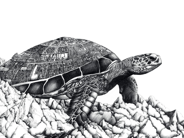 Tortue de mer - Edition Art