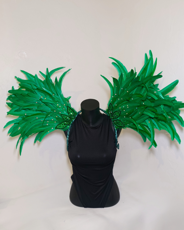 Costeiro Cleonina Vert