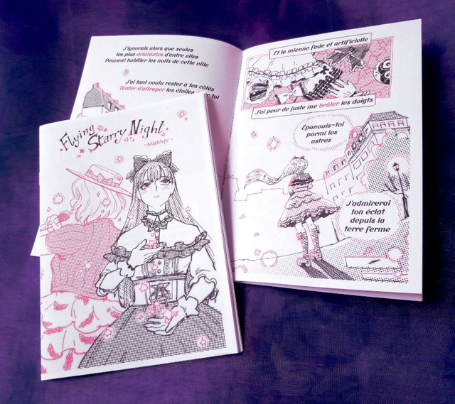 Flying Starry Night (La Nouvelle Boutique du Style 3 : Looks de Stars)