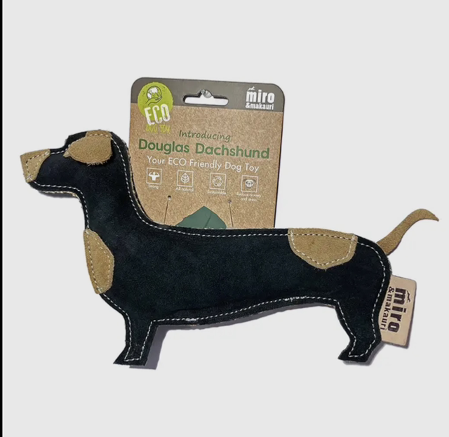 Miro &amp; Makauri - Douglas Dachshund 