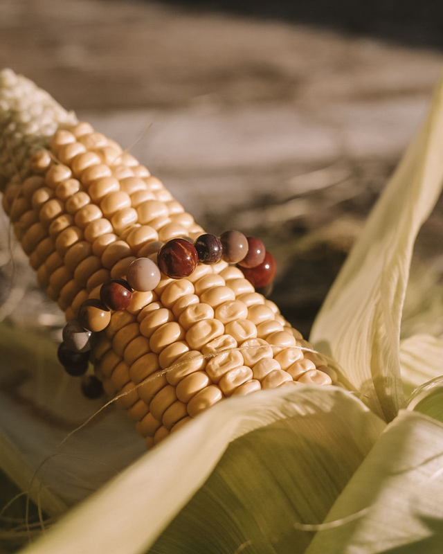 Vinea • Les soirs d&#039;été