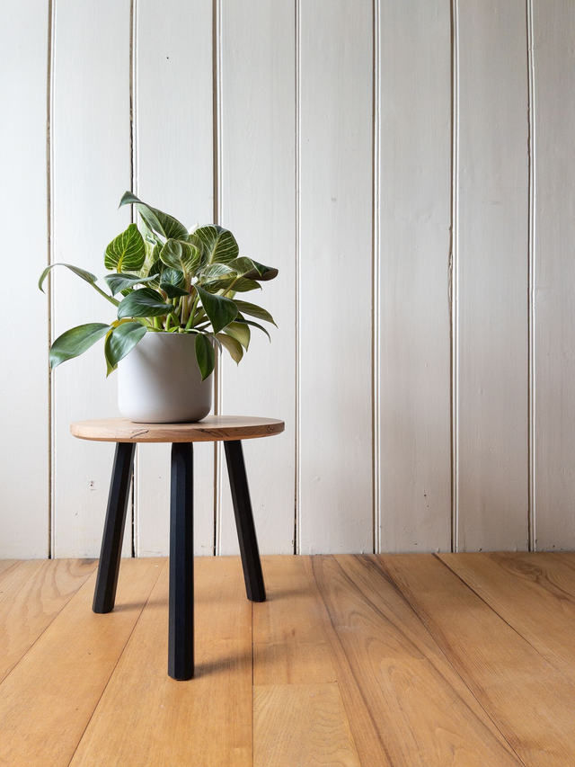 Gwylan  - Spalted beech and black