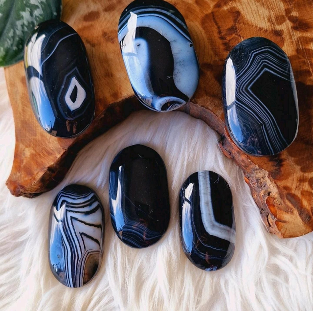 Black Banded Agate Palm