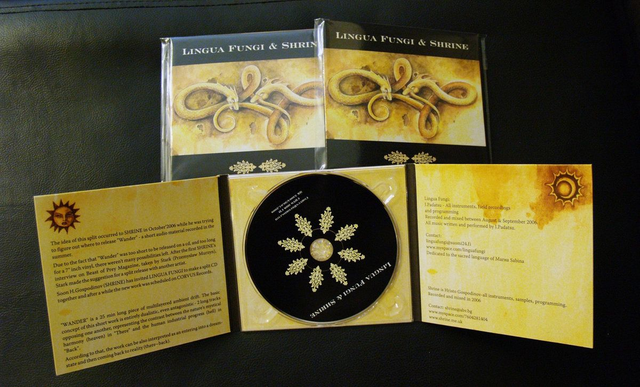 Lingua Fungi &amp; Shrine ‎– Strange Growths / Wander 