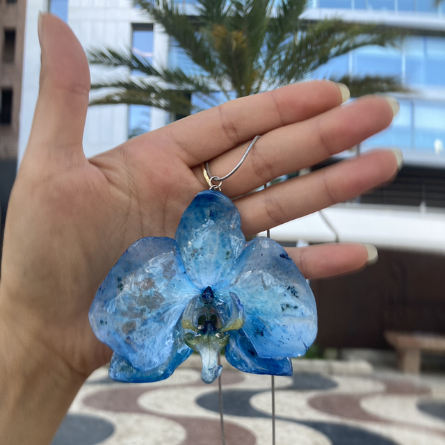 Azure Mariposa