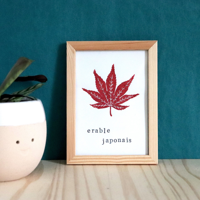 Linogravure A6 feuille d'Erable japonais (2 coloris)