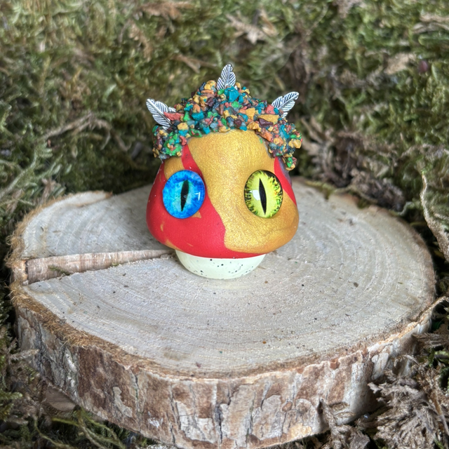 Champignon 29