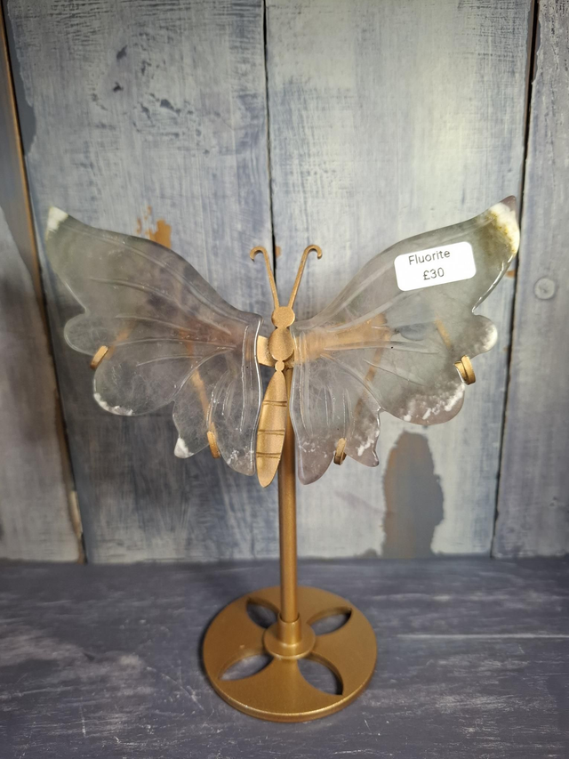 Fluorite Butterfly 