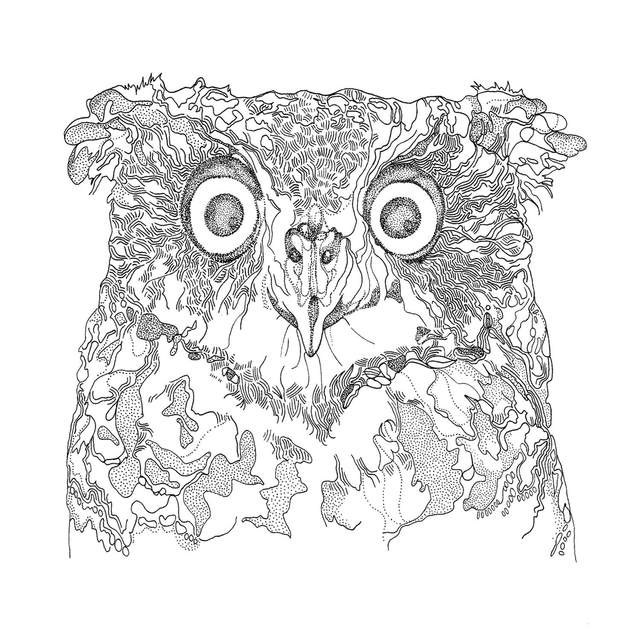 B&W A3 print - owl