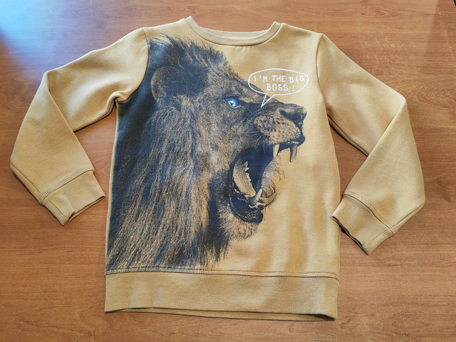 Sweat Lion en 10 ans