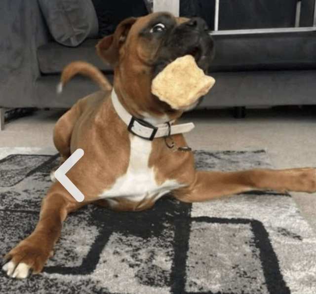 Cubes pack of 15 x 4 