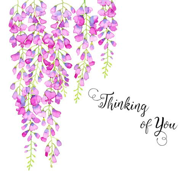 Thinking of You Wisteria