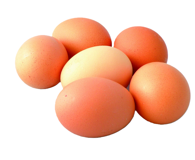 Lot de 6 oeufs EXTRA FRAIS vrac (consommation)