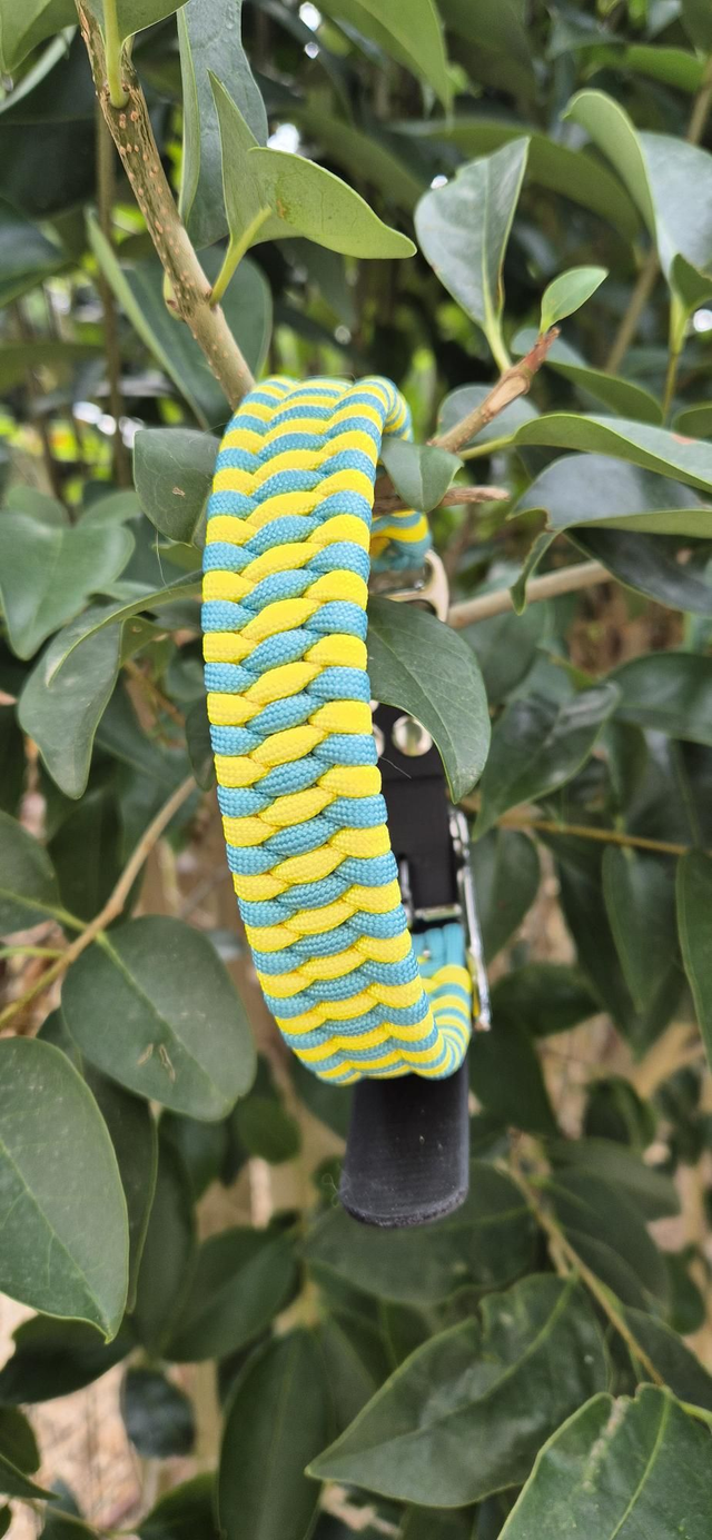 Collier biothane - Taille M