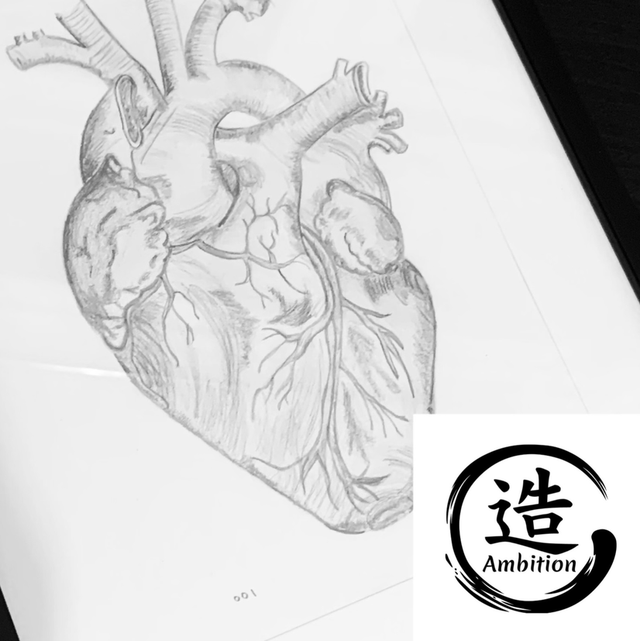 Anatomical Heart 