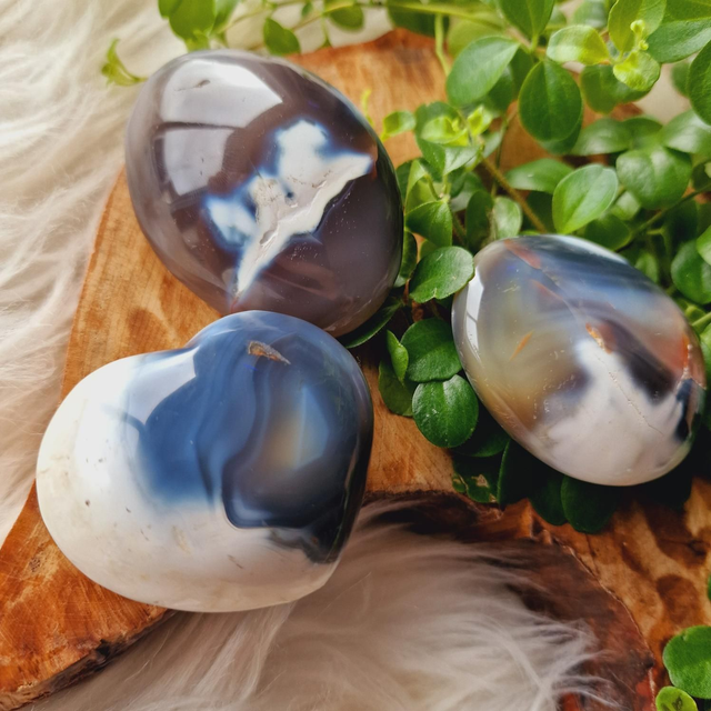 Orca Agate heart or palms