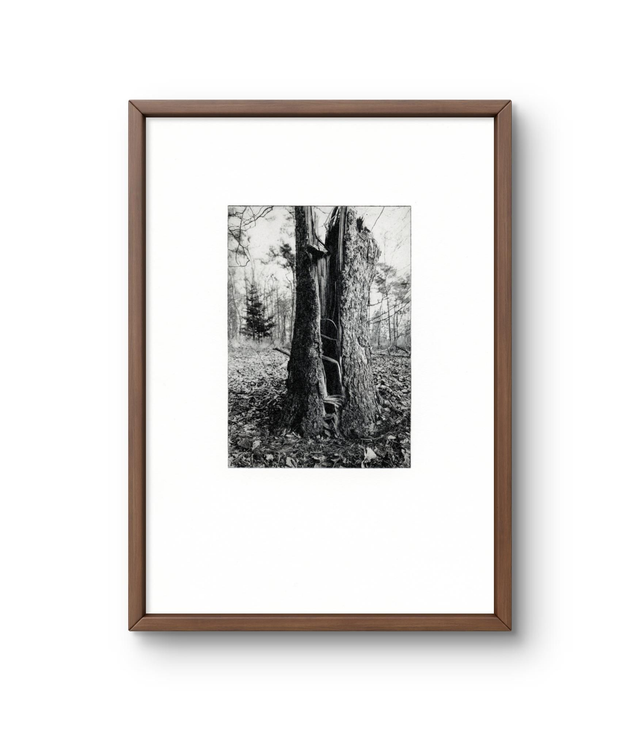 A4 Splitt photogravure handprint framed  