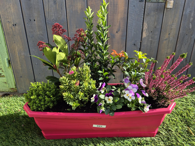 Jardinière 50cm + soucoupe 8 plantes 