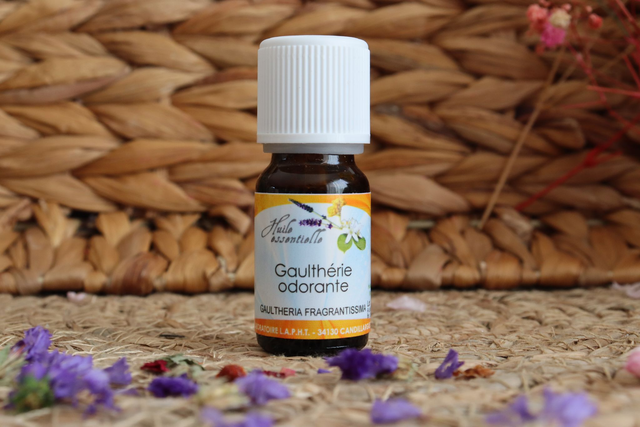 Huile Essentielle Gaulthérie Couchée BIO (Gaulthéria Procumbens) 10ml