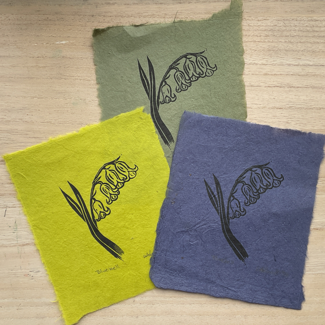 Bluebell mini prints on Khandi paper