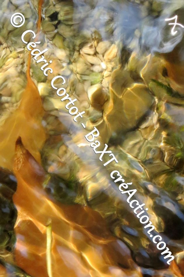 Impression sur alu dibond - Reflets et cours d'Eau (ref 0426)