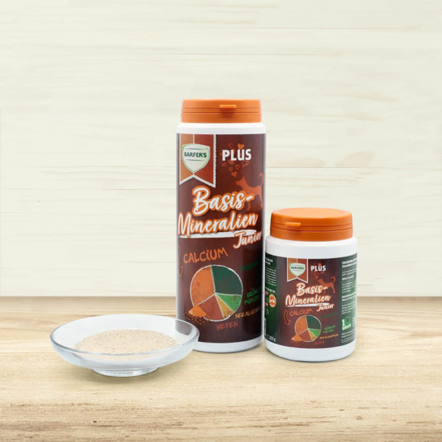 Basismineralien Junior 250g
