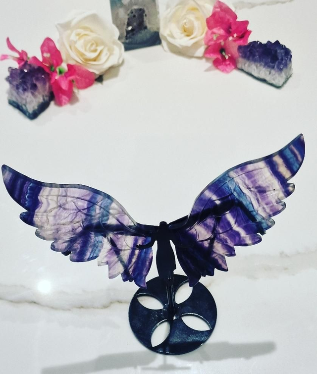 Angel Wings On Stand : Rainbow Fluorite