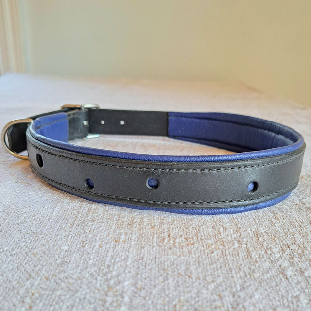 Kaulapanta, siniset pallot