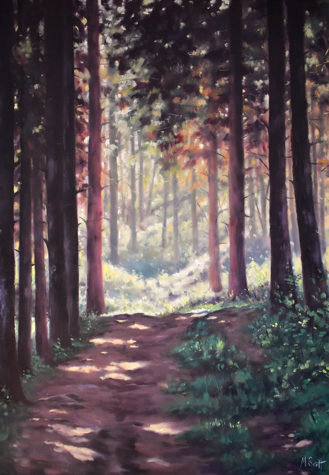Forest Light - prints (limited edition)