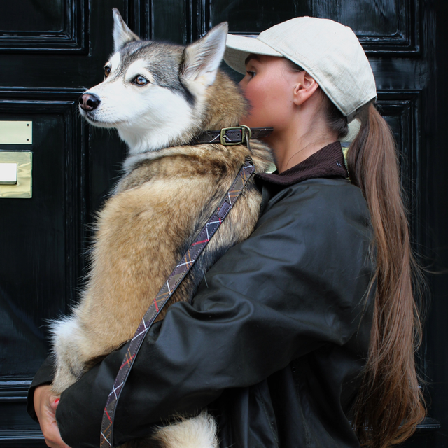 Barbour verstelbare hondenhalsband classic tartan