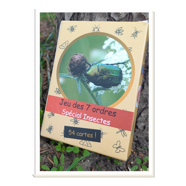 Jeu de cartes des 7 ordres insectes