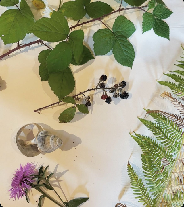 DBW1 Botanical Print Workshop with Deb Bunker Monday 7th September 2 to 4pm