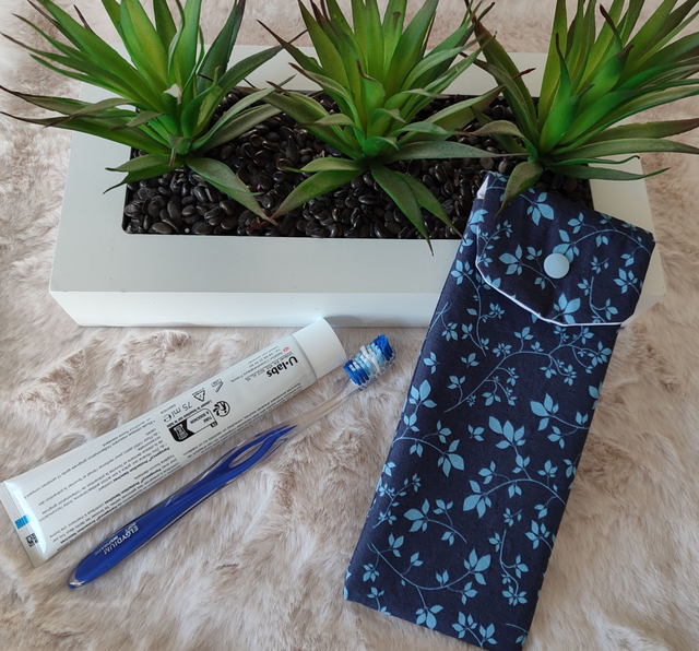 étui de voyage pour brosse à dents et dentifrice 