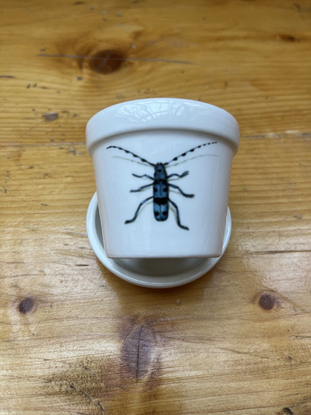 Espresso Tasse / Blumentopf - Alpenbock