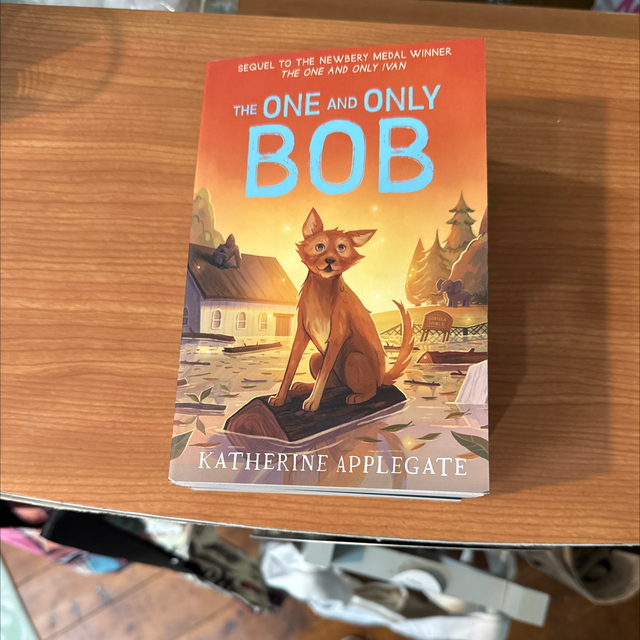 The One and Only Bob